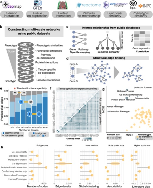 Network analysis reveals rare disease signatures across multiple levels of biological organization