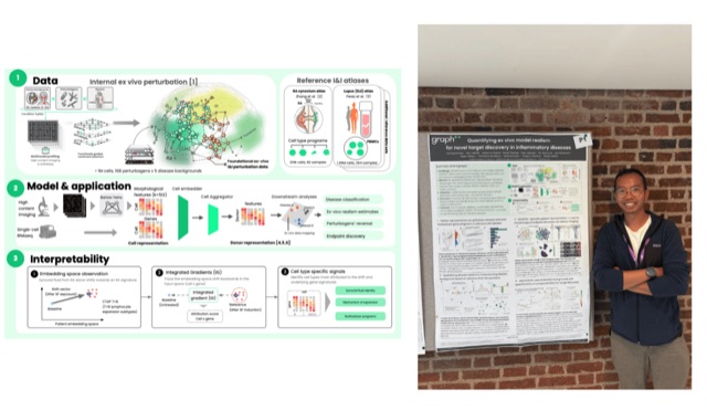 Quantifying ex vivo model realism for novel target discovery in inflammatory diseases
